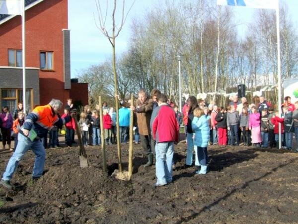 Wijkwethouder Alex Langius poot met hulp van drie leerlingen van de Marskramer een boom