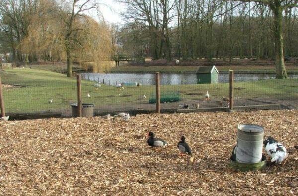 Dierenverblijf De Lariks -vijver waar net over moet