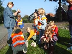 aan het bloembollen poten de kinderen van de baggelhuizenschool groep 5 en 6